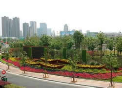 ���̰���