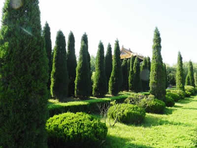 ���̰���