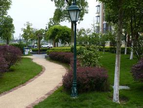 ���̰���