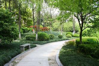 ���̰���