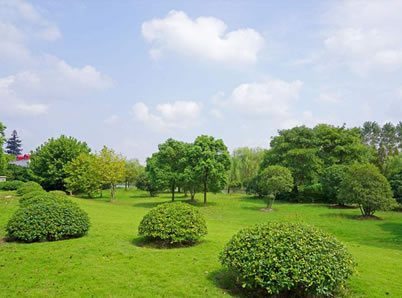 ���̰���